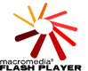 Download Flash